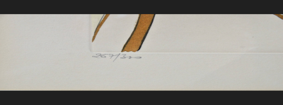 Salvador Dali, oryginalna litografia z lat 70. XX wieku